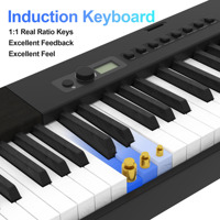 Keyboard Piano Hammer Action X88S Terbaru dengan Berat yang Terasa Nyaman, Pasokan Pabrik Bora Piano