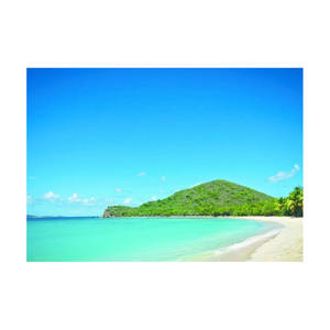 Des prix imbattables sur une bûche de hêtre haut de gamme pour les boiseries structurelles pour les projets de menuiserie haut de gamme - Product Image 2