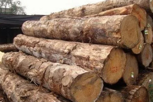 Premium Ayous Sawn Timber Hardwood Lumber <b>Planks</b> Eco-Friendly Water Resistant 2-Year Warranty Quality <b>Wood</b> Stock Traditional - Product Image 5