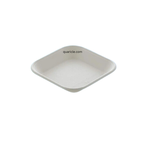 Kits de fournitures de fête jetables 1D Smart Tray acheter en vrac canne à sucre Bagasse mariage/anniversaire plat de fruits plateau de service Pocket Friendly - Product Image 1