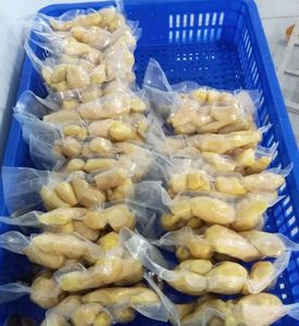 Gừng đông lạnh cao cấp, lát iqf tự nhiên thái hạt lựu & xay nhuyễn để chế biến thực phẩm, Horeca & xuất khẩu // ms. Lily ngo - Product Image 6