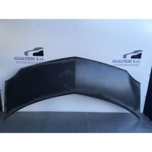 CAPÓ DELANTERO RENAULT Modus 1ª Serie 7751475521 (04>06) - Product Image 1
