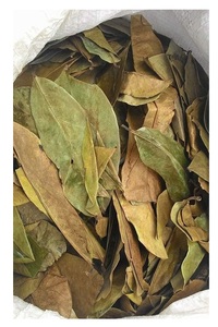 Con gran oferta, precio barato, 2024 Hojas de Guanábana secas de alta calidad, suplemento alimenticio de alta calidad - Product Image 5