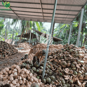 Noix de coco semi-décortiquée fraîche de haute qualité, naturelle, brune, marque VTP, 100% issue de noix de coco fraîches, directement du Vietnam, approvisionnement direct - Product Image 4