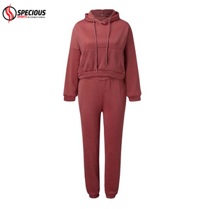 High Quality Women's Streetwear Casual Heavyweight Tracksuits Customized Size Hooded Breathable 100% Cotton <b>Eco</b>-Friendly Solid - Product Image 2