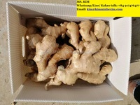 新鲜老姜 10公斤/箱 越南KMI品牌 ISO认证 100%天然品质 微辣 价格实惠 HP 0084 917 476 477