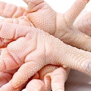 ตีนไก่ / ตีนไก่แช่แข็งจากบราซิล / ปีกไก่และเท้าไก่สด พร้อมส่งออก - Product Image 2
