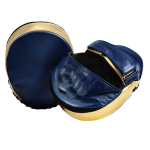 Meilleur fabricant de coussinets de mise au point pour entraînement sportif personnalisés coussinets de mise au point en cuir véritable avec poignée en usine ensemble de boxe - Product Image 2