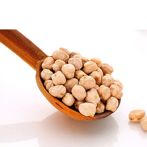 Garbanzos Desi Orgánicos de Calidad, Sin GMO, Secos, en Empaque a Granel, Origen EE. UU., 25 kg, Listos para Consumo - Product Image 4