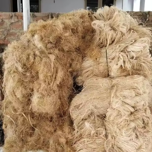 Fibre de banane provenant de déchets agricoles pour des applications industrielles vertes - Product Image 6