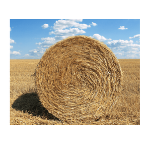 Balles rondes italiennes hachées de la plus haute qualité paille de bétail volaille animale alimentation blé alimentation production d'aliments pour animaux - Product Image 5