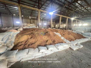 Poudre de gomme arabique du Soudan de la plus haute qualité gomme arabique d'acacia de haute qualité de Chine prix compétitif du produit agricole - Product Image 5