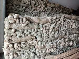 Cuerda de algas marinas de primera calidad, Venta caliente ecológica de alta calidad para tejer embalado a granel - Product Image 4