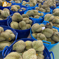 Direct Thai Orchards Biologische Diepvries Durian-Monthong Zoet Uniek Fruit 0,5kg IQF Vriesvormige Vacuümverpakking Geniet Altijd!