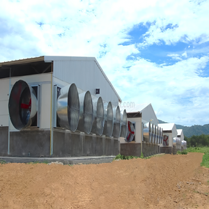 เล้าไก่เหล็กสำหรับฟาร์มขนาดเล็กพร้อมช่องระบายอากาศด้านข้างและหลังคาโลหะกันฝนสำหรับฟาร์มขนาดเล็ก - Product Image 2