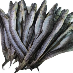 Pescado seco Mudskipper-mariscos de primera calidad de Vietnam - Product Image 1