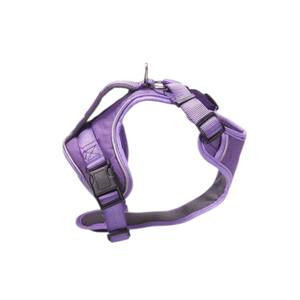 Collar para Perro con Estilo, para Perros Medianos y Grandes, de Nailon y Poliéster, con Estampado, Diseño Clásico y Suave, de Vietnam - Product Image 2