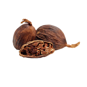 Venta caliente Precio bajo Estándar internacional Fábrica de la mejor calidad en Vietnam Cardamomo negro a granel - Product Image 4