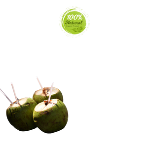 สำรวจประโยชน์ต่อสุขภาพของมะพร้าวสดเวียดนาม - Product Image 5