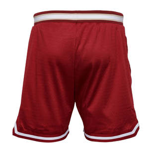 Pantalones cortos de baloncesto de malla transpirable de corte holgado para hombre, pantalones cortos deportivos de verano de alta calidad con tecnología de secado rápido - Product Image 6