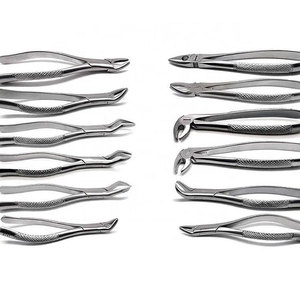 Fórceps de extracción de dientes para adultos de primera calidad, incisivo inferior, Manual, patrón en inglés, Instrumentos dentales de alta calidad para - Product Image 5