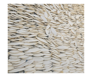 Os de seiche sec en gros disponible-Os de calmar de qualité supérieure pour animaux de compagnie, exportateur du Vietnam, usine en vrac prêt à exporter - Product Image 5