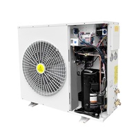 Unité de condensation, bobine de compresseur, échangeur de chaleur à tubes et coquilles, système de réfrigération pour la maison, les restaurants, les supermarchés, moteur Copeland 2HP