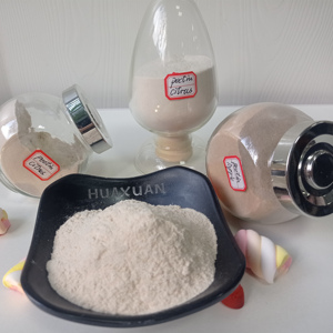 <span class=keywords><strong>Pectine</strong></span> 25 kg DSM <span class=keywords><strong>Pectine</strong></span> E440 Poudre de <span class=keywords><strong>pectine</strong></span> <span class=keywords><strong>jaune</strong></span> clair Stabilisants Épaississants Certifié ISO/HALAL Qualité alimentaire pour crème glacée Confiture - Product Image 4