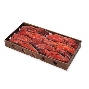 Homards surgelés de haute qualité disponibles à la vente à bas prix - Product Image 2