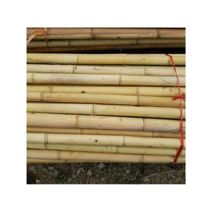 Supplier Natural Bamboo Poles - Bamboo Cane With Best Price For Export - Top Products Bamboo Hot Selling 2024