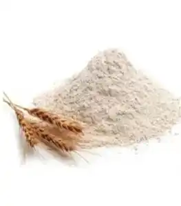 75% Protein Vital Wheat Gluten Flour for Making Bread