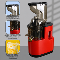 Commerciële slowjuicer voor fruit en groenten, hoge opbrengst sapcentrifuge voor thuiskeuken en straatverkopers