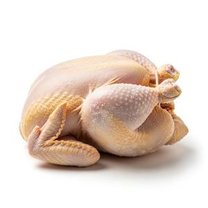 Pollo Entero Congelado Fresco de Primera Calidad Halal, Empaquetado a Granel, Limpio y Congelado, Proceso IQF para Restaurantes y Compradores Minoristas - Product Image 3