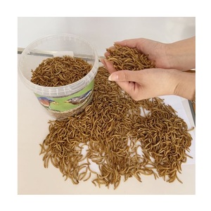 Nueva Llegada, Mejores Precios, Alimento para Aves con Alto Contenido de Proteínas, Gusanos de Harina Secos de Grado de Exportación para Aves - Product Image 5