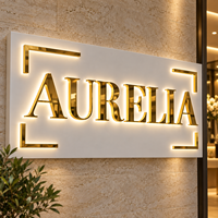 Enseigne Murale Lumineuse de Luxe pour Salon, Logo d'Entreprise en Lettres Dorées 3D, Enseigne Publicitaire Murale Illuminée pour Réception de Studio