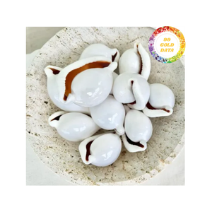 Material de concha de mar natural de cáscara de huevo de vaca blanca perfecto para artesanías de decoración del hogar y fabricación de joyas Vietnam - Product Image 1