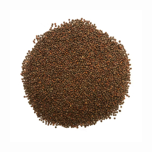 สารสกัดจากเมล็ดบรอกโคลี กลูโคราฟานิน 1%-50% ราคาโรงงาน ขายส่ง - Product Image 3