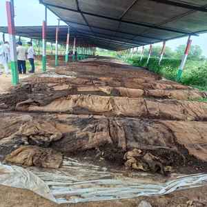 Fertilizante Orgánico de Compost de Vermicompost de Proveedores Indios de Agricultura Orgánica 2025 - Alta Calidad, Calidad de Exportación, Excelente Precio - Product Image 5