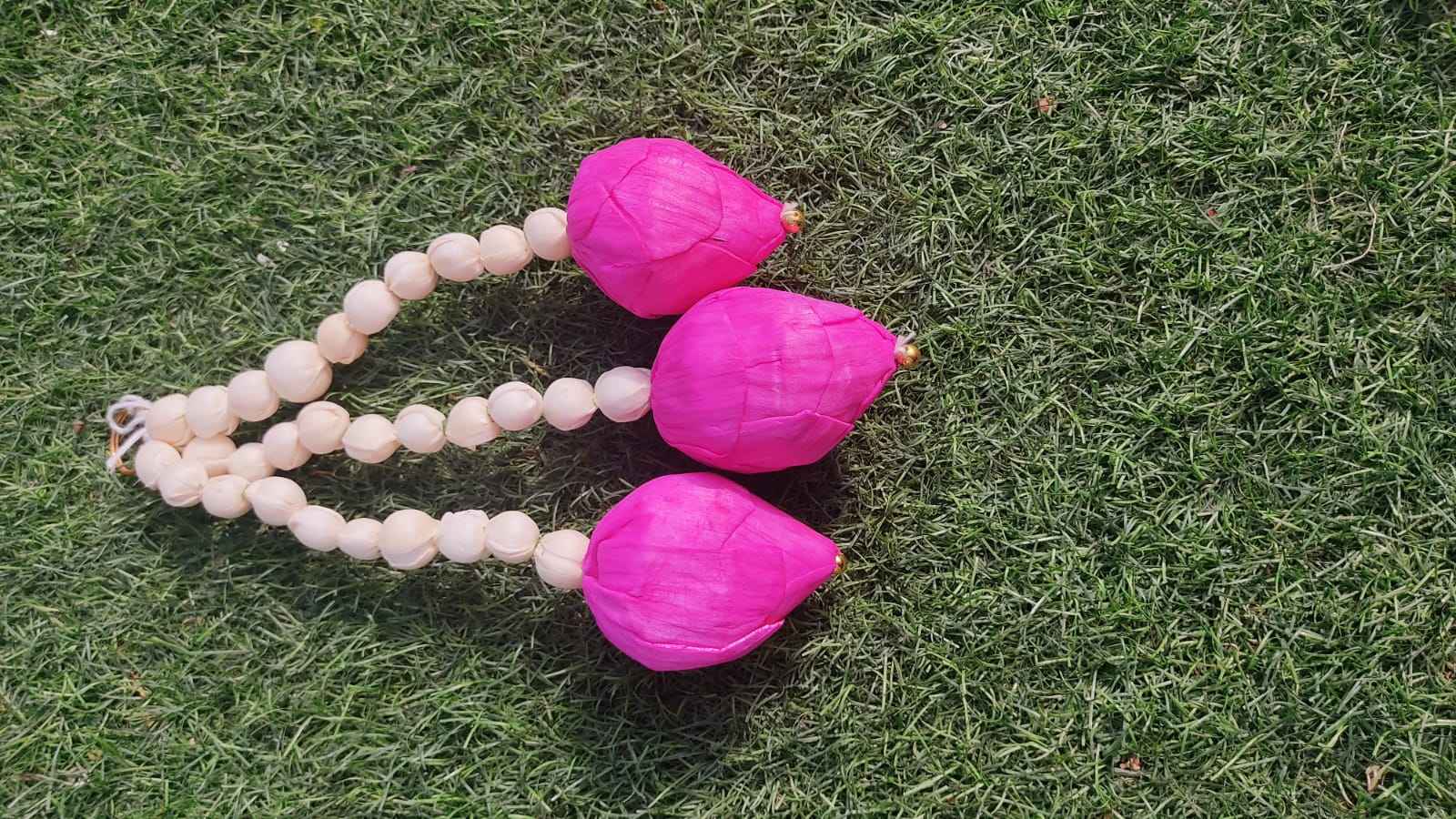 ดอกตูมสีชมพูสีขาว