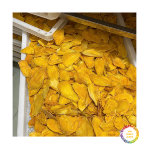 Mango Deshidratado en Trozos, Suministro de Fábrica, Sabor Consistente, Precio Accesible para Importadores Globales - Product Image 6