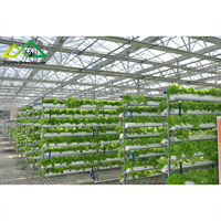 Système hydroponique commercial et kit de serre pour la culture de légumes et de fleurs à haut rendement
