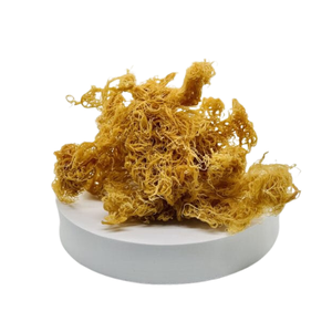 VENTA CALIENTE ALGAS SECAS EUCHEUMA COTTONII CON ALTA CALIDAD Y MEJOR PRECIO - Product Image 2