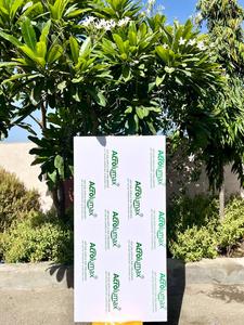 Panneau MDF brillant à sublimation Panneau photo en bois Blancs MDF Produit de qualité supérieure de fournisseurs indiens - Product Image 5