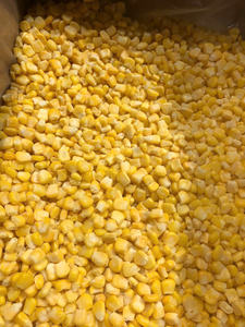 Maïs sucré jaune et blanc congelé IQF de haute qualité pour l'exportation Moitiés entiers Vente en gros de maïs Produit de légumes surgelés - Product Image 2