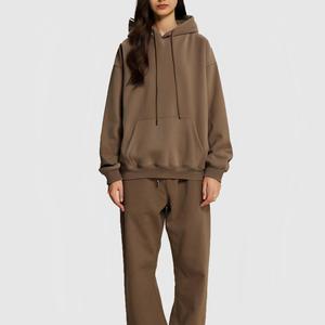 2025 hiver confortable Streetwear à capuche femmes surdimensionné polaire doublé pull avec cordon en peluche Sherpa sweat à capuche - Product Image 2