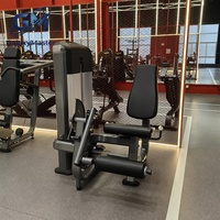 Máquina de Extensión Lumbar Comercial con Pila de Pesas de 100 kg, Equipo de Entrenamiento de Fuerza para la Espalda Baja para Gimnasios Comerciales