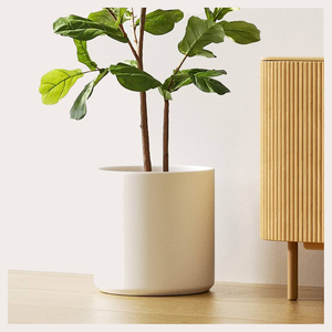 Jardinières en métal rentables jardinières contemporaines en métal doré forme ronde grand pot pour les balcons de patio de jardin extérieur intérieur - Product Image 4