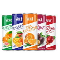 250Ml Vruchtensapdrank Kan Waterfles 100% Geen Suiker Vetarme Vrije Monsterfabricagedrank Van Vietnam Private Label Oem