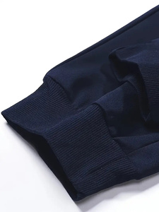 Men's New Fashion Casual Gym Clothing <b>Winter</b> Sports Fleece <b>Tracksuit</b> with Zipper Hoodie Side Stripe Plus Size Free Shipping - Product Image 5