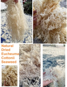 มอสจากทะเลสีทองมอสแห้งแบบไอริชปลอดกลูเตนมอสแห้งคุณภาพสูงมี2025 // - Product Image 4